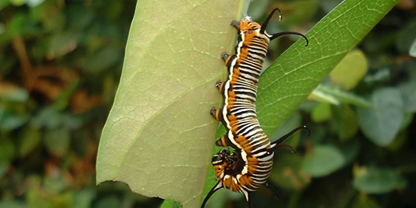 企业通讯工具的ddos攻击